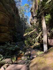 Obraz premium Great Canyon Walk Hiking Trail, Blue Mountains, Australia