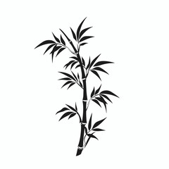 Fototapeta premium Elegant bamboo stalk with delicate leaves creates a striking nature silhouette