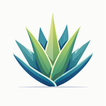 Vibrant Agava Plant Illustration