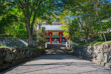 秋の妙義山 総門と参道　群馬県富岡市