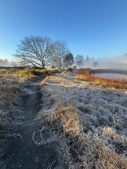 Grass with Light Snow Cover in a Park, Katoomba, Blue Mountains, Australia