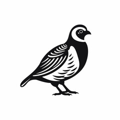 Fototapeta premium Stylized black and white partridge with decorative wing feathering silhouette