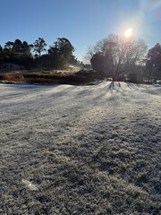 Obraz premium Grass with Light Snow Cover in a Park, Katoomba, Blue Mountains, Australia
