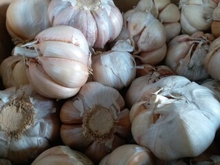 Heads of Garlic Stacked