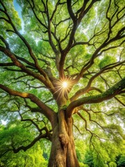 A majestic tree with branches stretching towards the sky