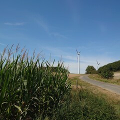 wind turbine in the field