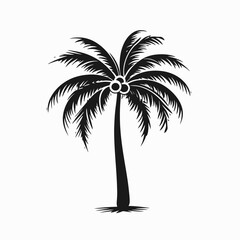 Obraz premium Tropical palm tree illustration with coconuts on a white background silhouette