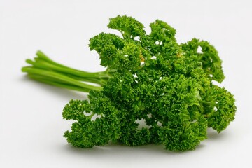 Fototapeta premium Fresh Parsley Bunch (3)