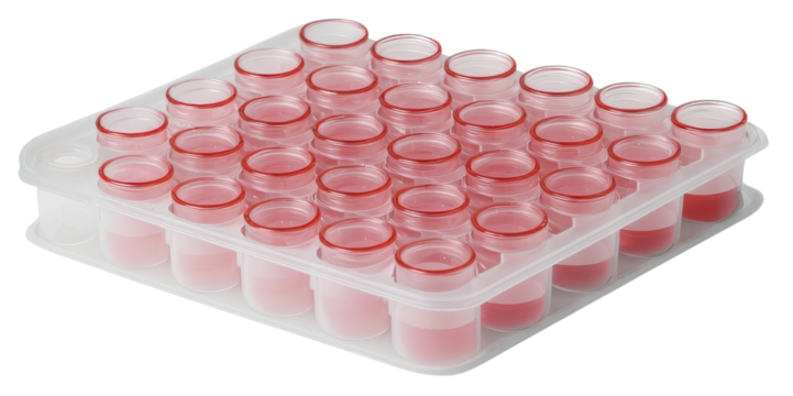 Red capped laboratory vials in transparent tray, isolated on transparency background