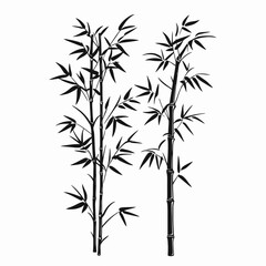 Obraz premium Minimalist bamboo stalks graphic art with leaves oriental nature style silhouette