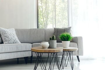 Modern Living Room with Cozy Couch, Minimalist Decor and Green Plants in Bright Space