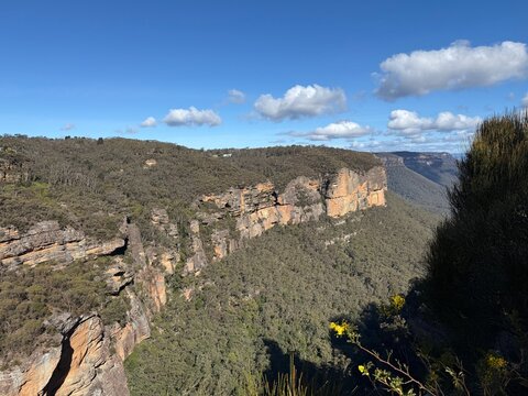 Panoramic Valley and Escarpment Views from Cahill's Lookout in the Blue Mountains