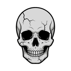 Cracked Human Skull Vector Illustration.