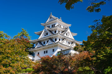 秋の郡上八幡城　岐阜県郡上市