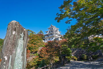 秋の郡上八幡城　岐阜県郡上市
