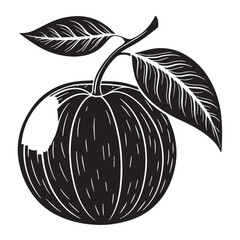 Black clementine Silhouette Vector, High Quality Illustration on White Background