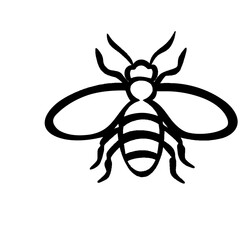  Detailed Bee Drawing