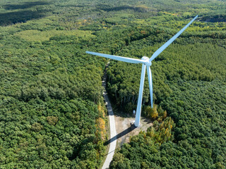 wind power station in forest