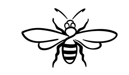  Thin Line Bee Illustration