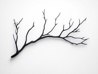 Fototapeta premium Black branch on white background