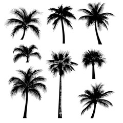 A set of palm trees in black and white