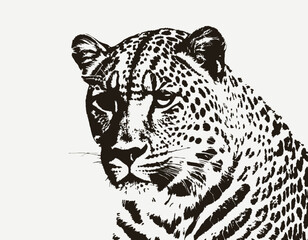 Leopard Silhouette digital Art, Intricate Powerful and Ready for Print or Web, Sharp Details. Strong Identity. Timeless Design, Symbolize Strength, Courage, Logo, and Leadership