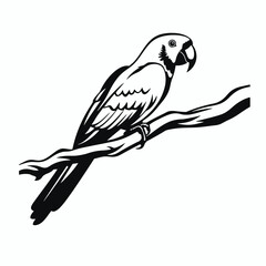 Fototapeta premium Elegant parrot perched gracefully on a branch, artistic design silhouette