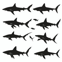 Fototapeta premium Sharks swimming predator isolated ocean animals underwater marine dangerous creatures vector silhouette
