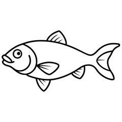 fish vector illustration