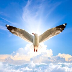 Fototapeta premium Seagull Soaring High Above Clouds