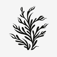 Fototapeta premium Elegant botanical plant with a minimalist, graphic black seaweed silhouette