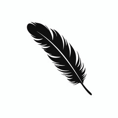 Fototapeta premium Elegant black feather isolated on a white background, a beautiful silhouette