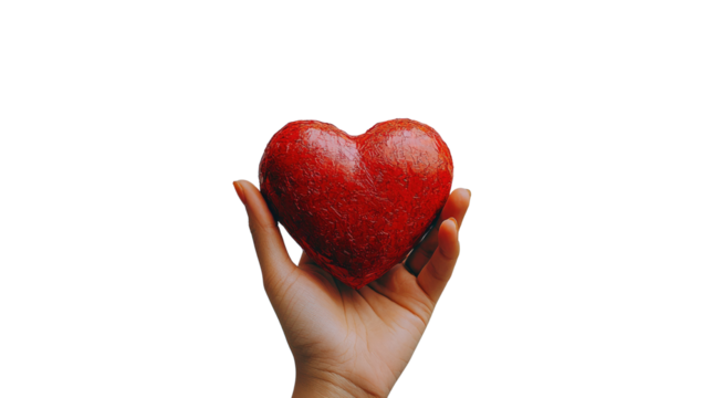 A symbolic image of care and romance, a red heart in a woman's hands is a powerful symbol of love and giving on PNG white background.