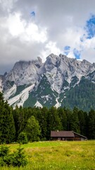 Alpine Meadow House Mountain