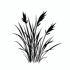 Elegant reed abstract illustration, simple field crop black silhouette