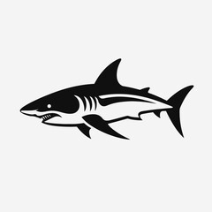 Obraz premium Powerful great white shark swimming vector drawing illustration, side view silhouette