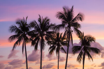 Tropical Sunset Silhouette: A stunning composition of palm trees silhouetted against a breathtaking sunset, painting the sky with vibrant colors and capturing the serene beauty of a tropical paradise.