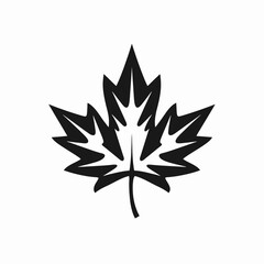 Obraz premium Elegant monochrome maple leaf emblem design in minimalist vector silhouette