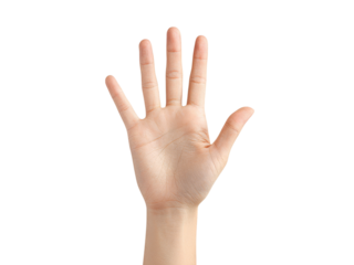 Open hand palm up five fingers black background, Isolated On White Background, Png Transparent