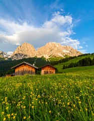 Alpine Meadows, Cabin Houses, Scenic View