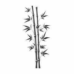 Naklejka premium Elegant bamboo stalks design with Asian influence botanical graphic silhouette