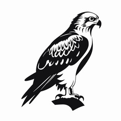 Fototapeta premium Majestic raptor illustration with wings spread in powerful flight vector silhouette