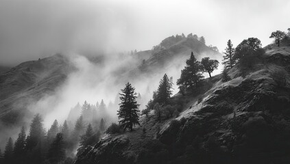 Misty mountainside, black and white