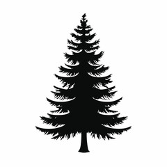 Beautiful evergreen tree creating a graphic natural design element silhouette