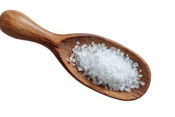 Wooden spoon filled with coarse sea salt
