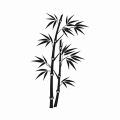 Obraz premium Graceful stems with delicate leaves create a natural bamboo tree silhouette