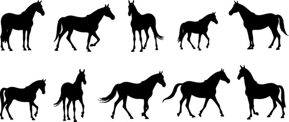 Black Horse Silhouettes in Various Poses