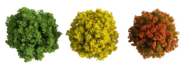 Three circular decorative items in green, yellow, and orange