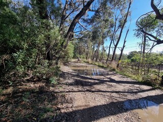 Grand Canyon Street Gravel Road in Medlow Bath, Blue Mountains, Australia