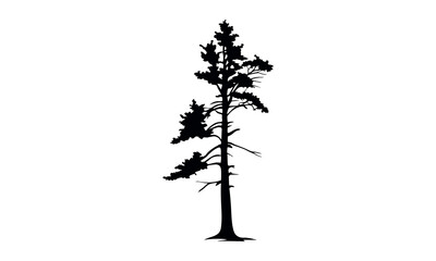 Black tree silhouettes collection. Single tree vectors. Tree in silhouette. Various tree vectors. Forest and nature concept. Collection of different tree symbols.